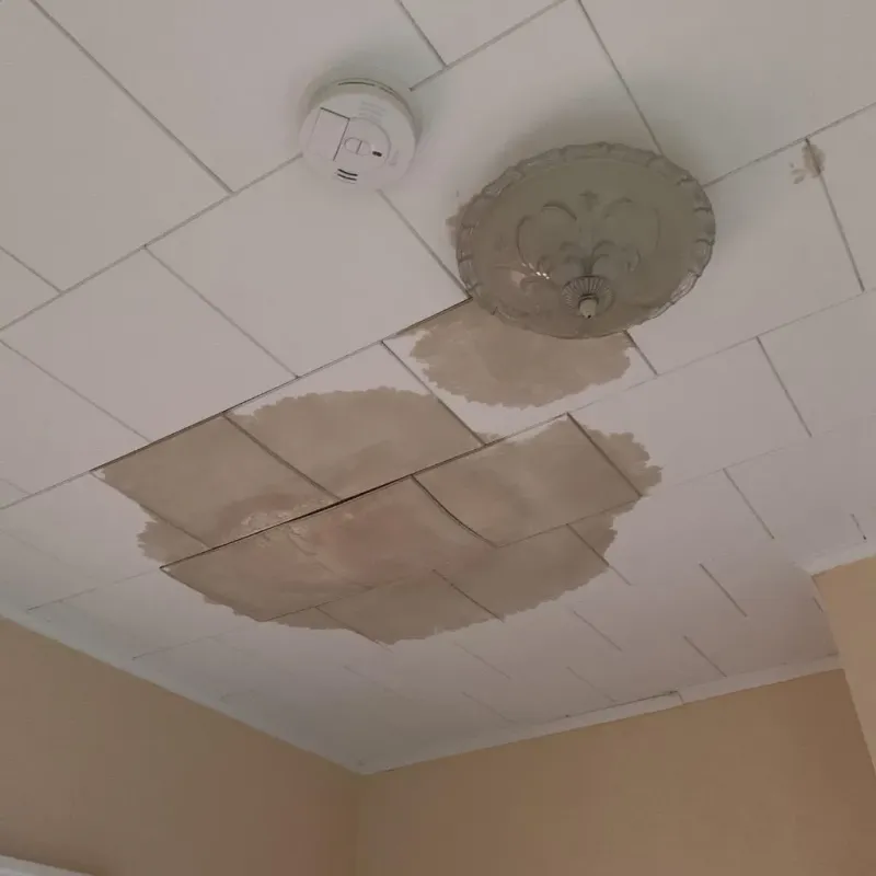 Ceiling Water Damage Repair in Three Rivers, MA