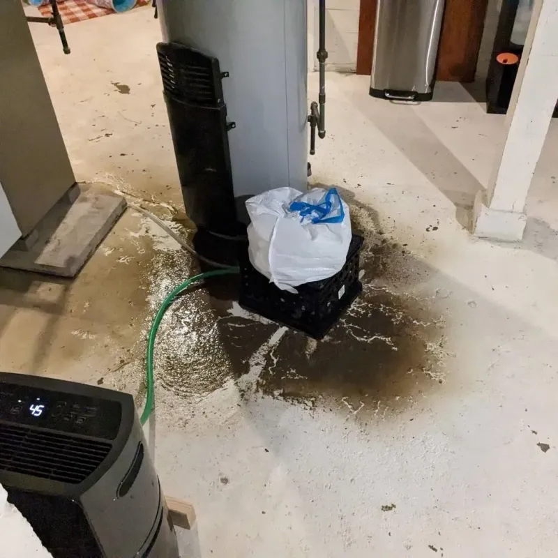 Sewage Backup Cleanup Service in Three Rivers, MA
